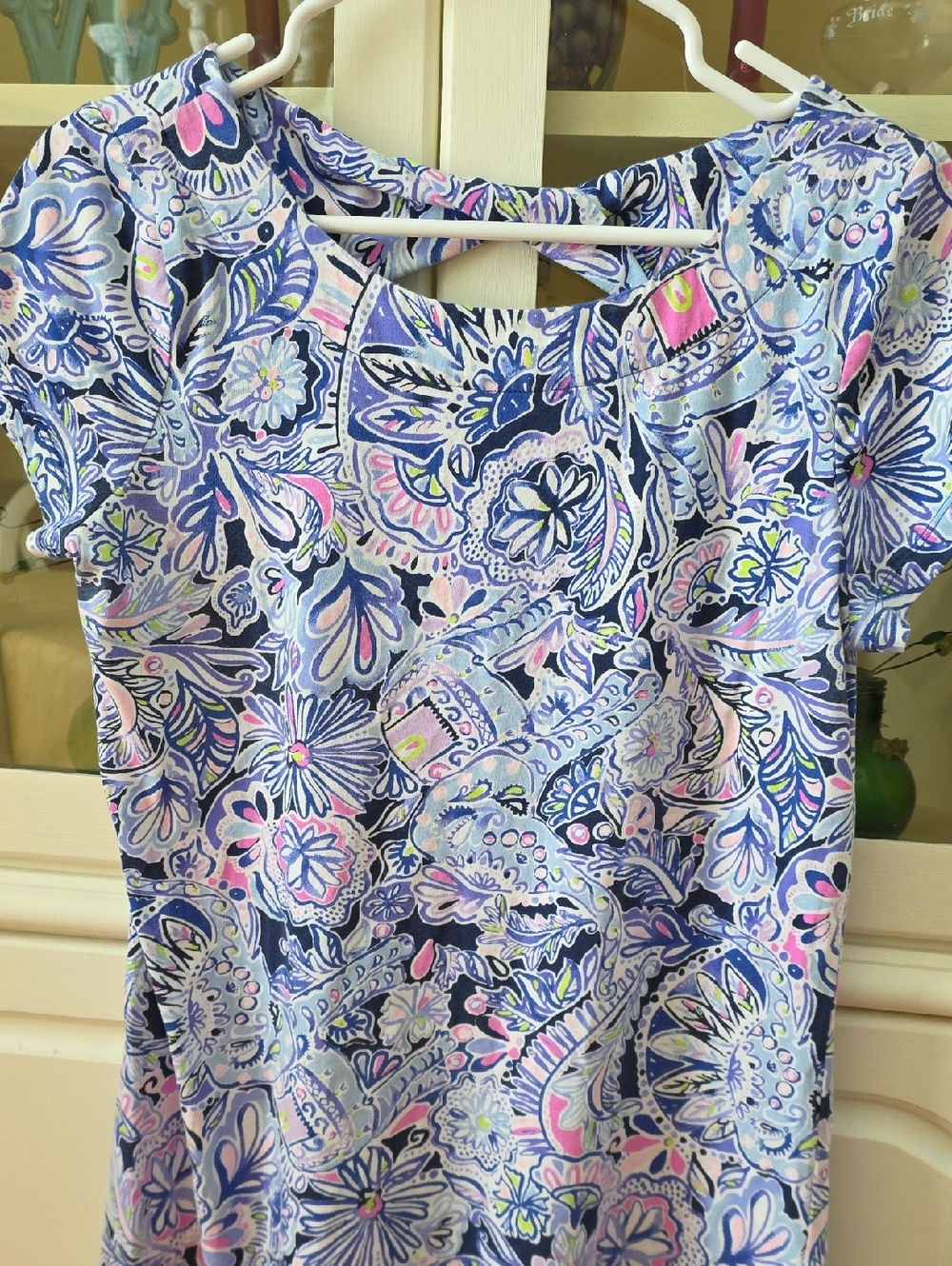 Lilly Pulitzer Paisley Floral Short Sleeve Dress in Blue & Pink